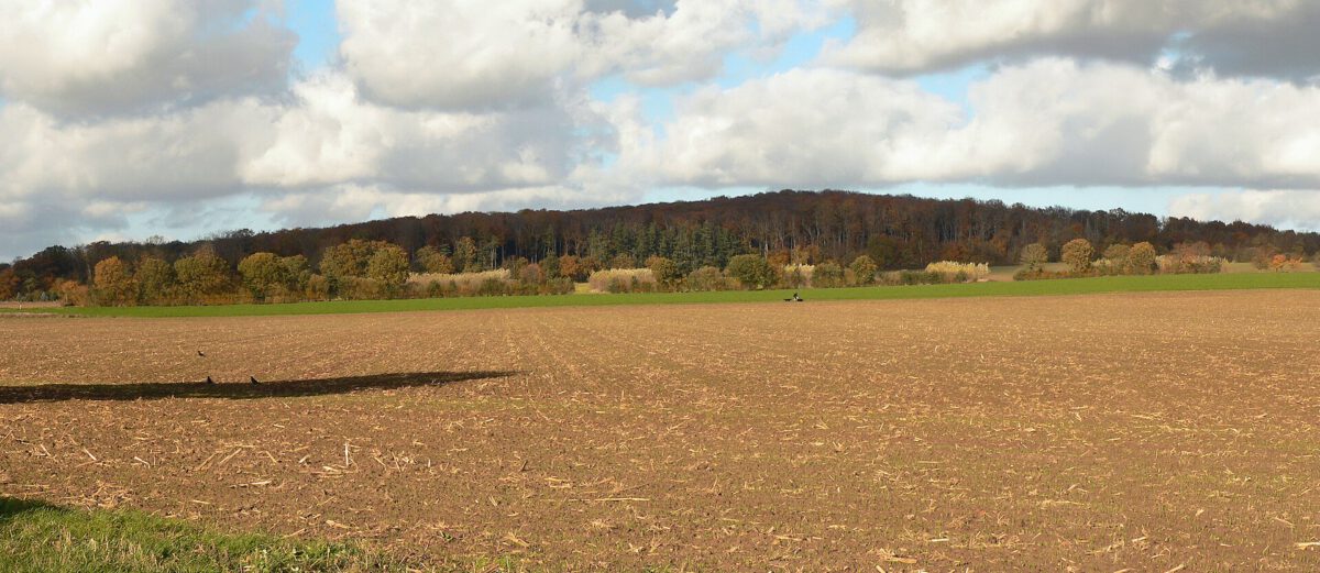 Suerser_Berg_von_Kreisstrasse